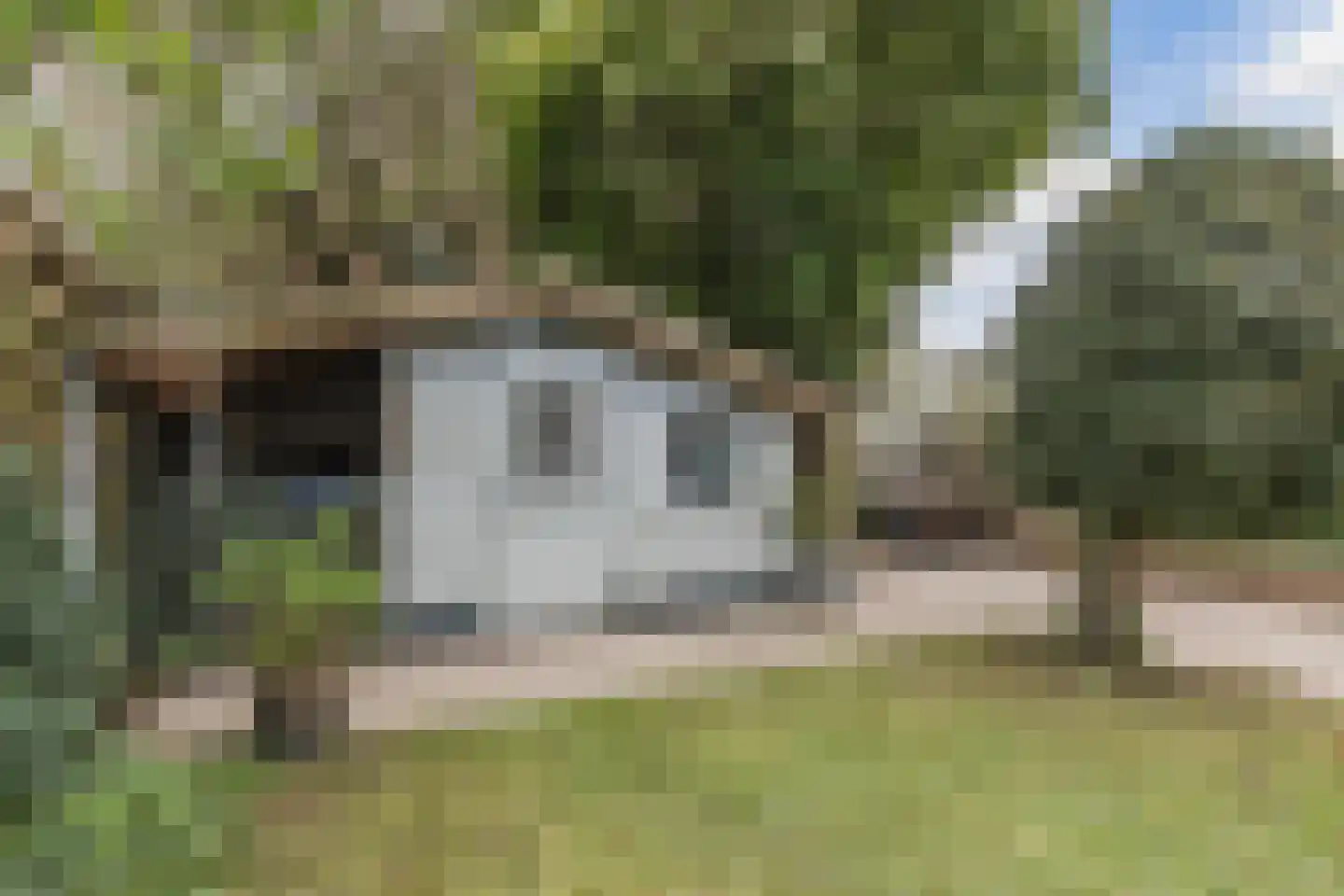 Pijlstaart 2 Grave thumbnail 33