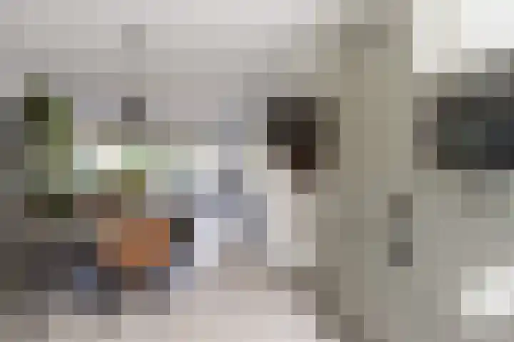 Pijlstaart 22 Hoogkarspel thumbnail 10