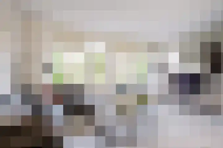 Pijlstaart 22 Hoogkarspel thumbnail 14
