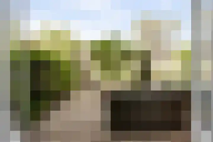 Pijlstaart 22 Hoogkarspel thumbnail 15