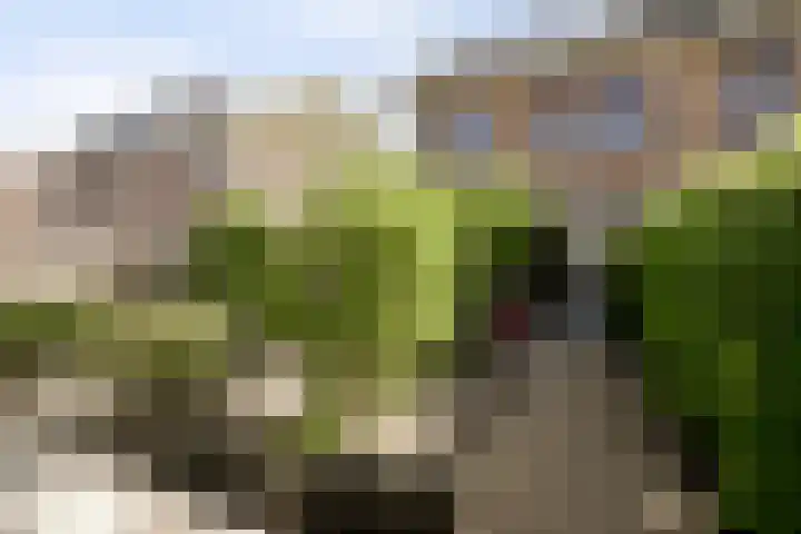 Pijlstaart 22 Hoogkarspel thumbnail 17