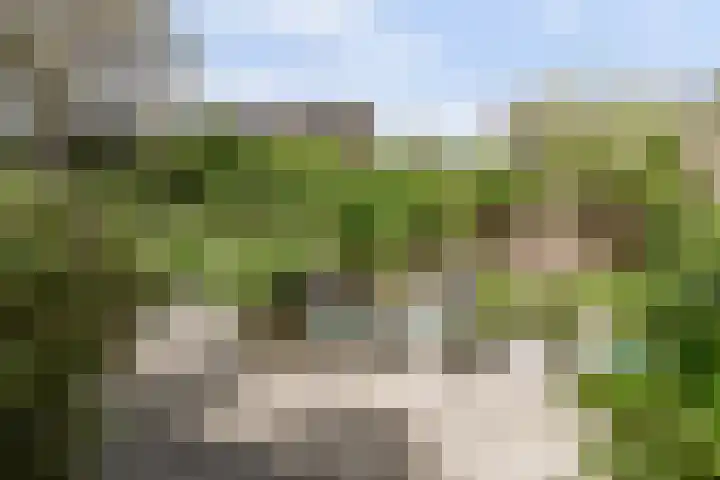 Pijlstaart 22 Hoogkarspel thumbnail 19