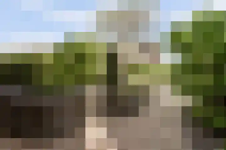 Pijlstaart 22 Hoogkarspel thumbnail 20