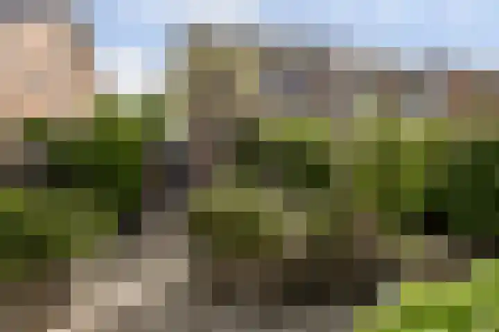 Pijlstaart 22 Hoogkarspel thumbnail 22