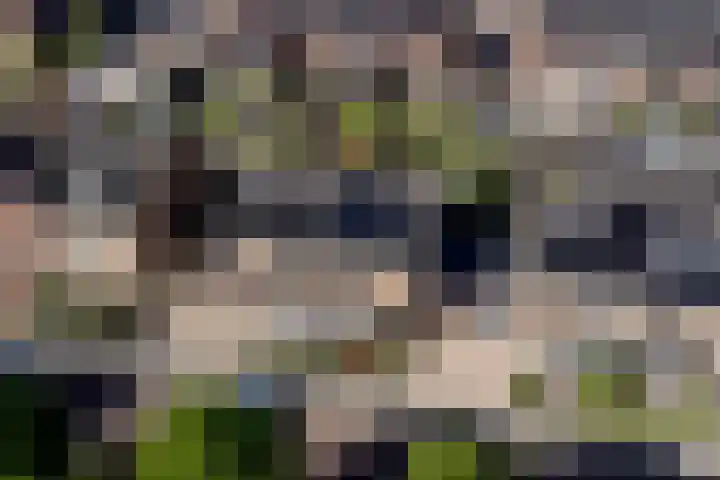 Pijlstaart 22 Hoogkarspel thumbnail 39