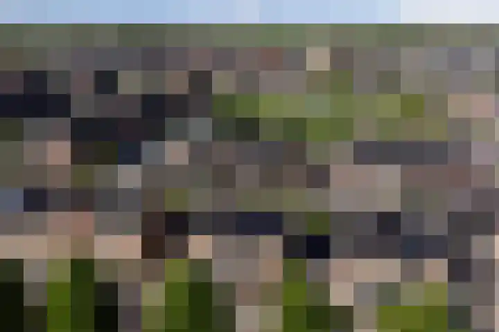 Pijlstaart 22 Hoogkarspel thumbnail 4