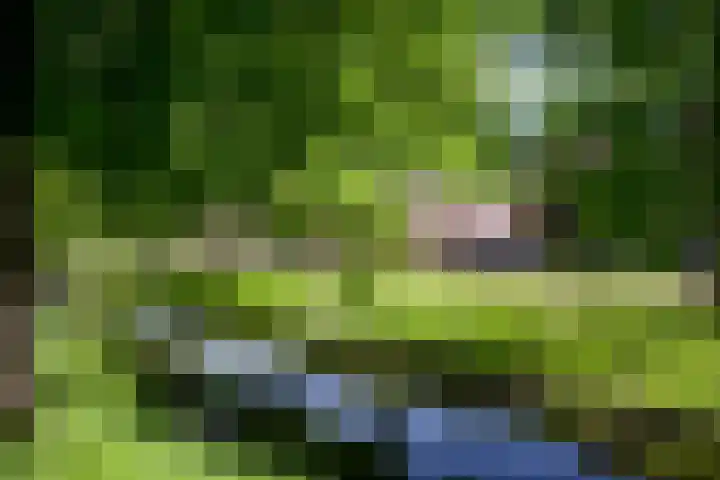 Pijlstaart 22 Hoogkarspel thumbnail 40