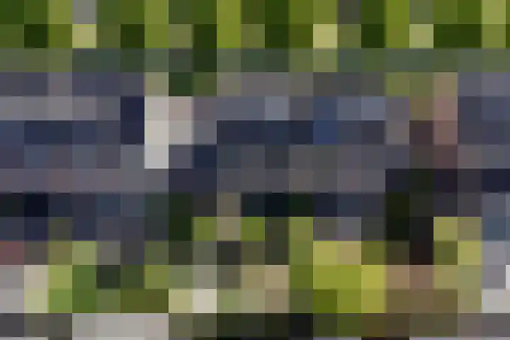 Pijlstaart 22 Hoogkarspel thumbnail 41