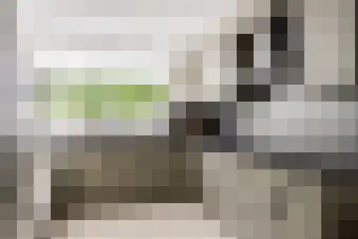 Pijlstaart 22 Hoogkarspel thumbnail 9