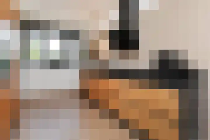 Pijlstaart 3 Pijnacker thumbnail 12