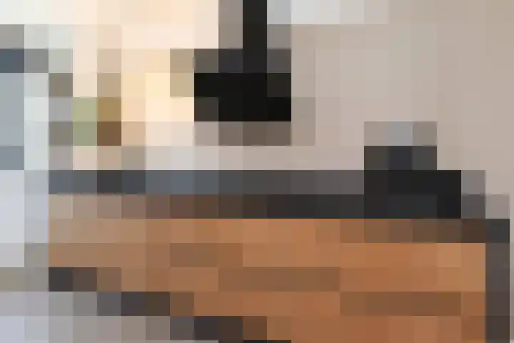 Pijlstaart 3 Pijnacker thumbnail 15