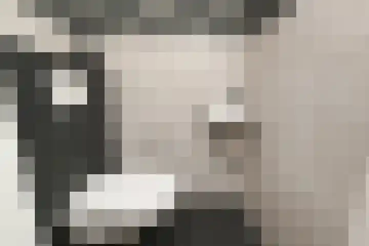 Pijlstaart 3 Pijnacker thumbnail 18
