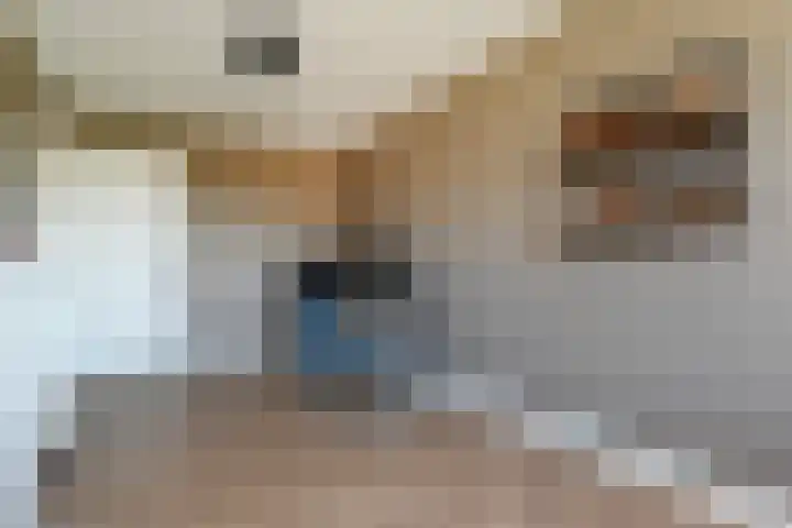 Pijlstaart 3 Pijnacker thumbnail 23
