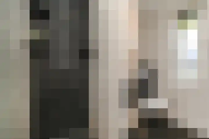 Pijlstaart 3 Pijnacker thumbnail 26