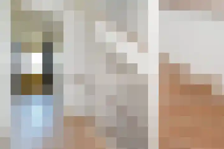 Pijlstaart 3 Pijnacker thumbnail 29