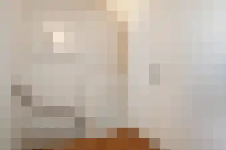 Pijlstaart 3 Pijnacker thumbnail 30