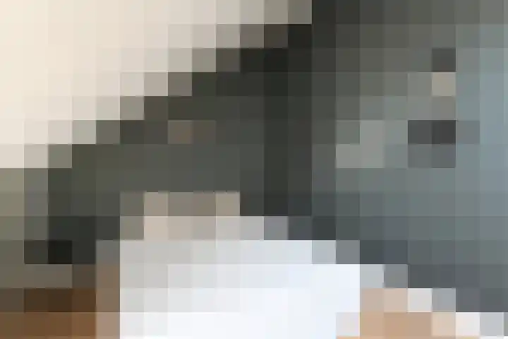 Pijlstaart 3 Pijnacker thumbnail 33