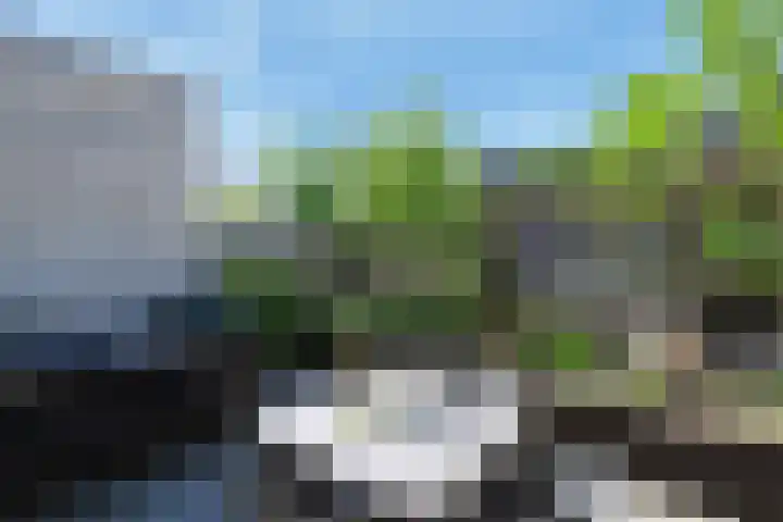 Pijlstaart 3 Pijnacker thumbnail 8