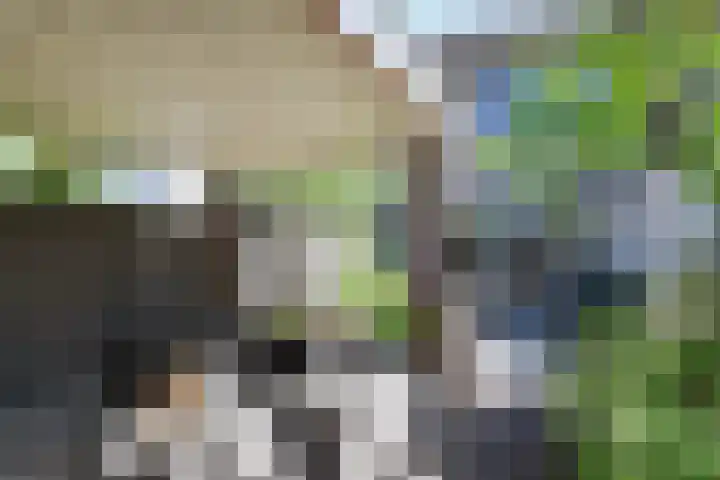 Pijlstaart 3 Pijnacker thumbnail 9