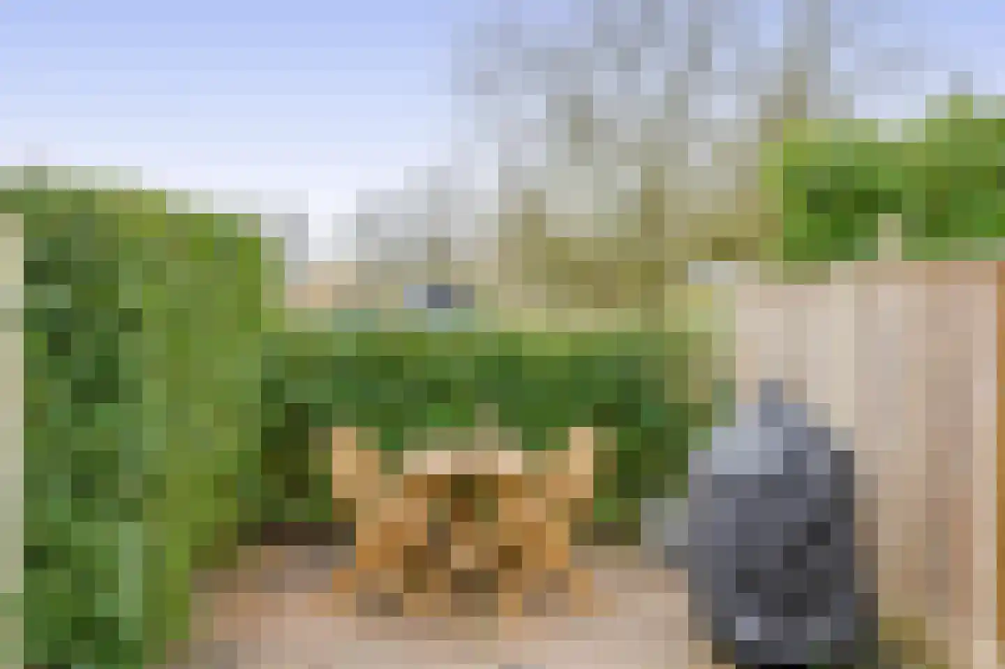 Pijlstaart 39 Hellevoetsluis thumbnail 15
