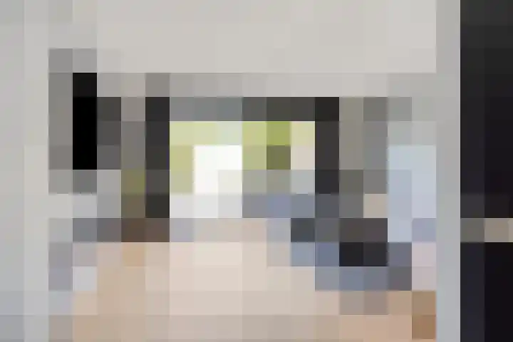 Pijlstaart 4 Bergen op Zoom thumbnail 13