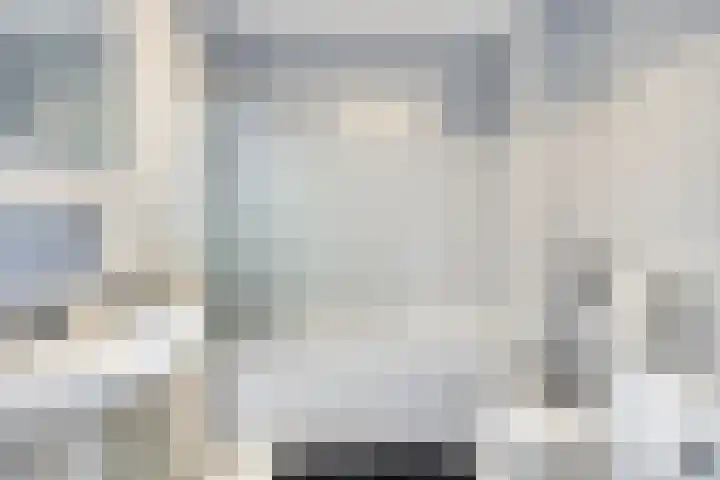 Pijlstaart 4 Bergen op Zoom thumbnail 20