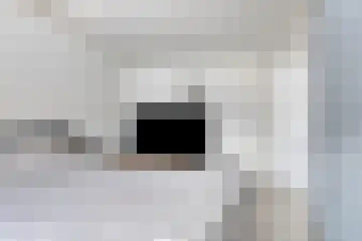 Pijlstaart 4 Bergen op Zoom thumbnail 31