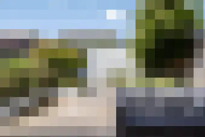 Pijlstaart 4 Bergen op Zoom thumbnail 32