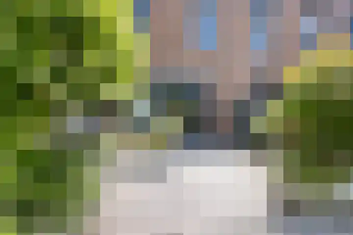 Pijlstaart 4 Bergen op Zoom thumbnail 34