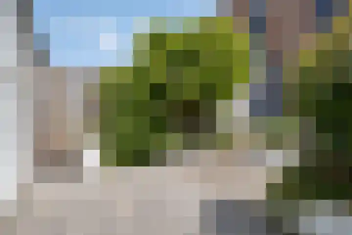 Pijlstaart 4 Bergen op Zoom thumbnail 35