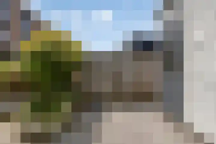 Pijlstaart 4 Bergen op Zoom thumbnail 36