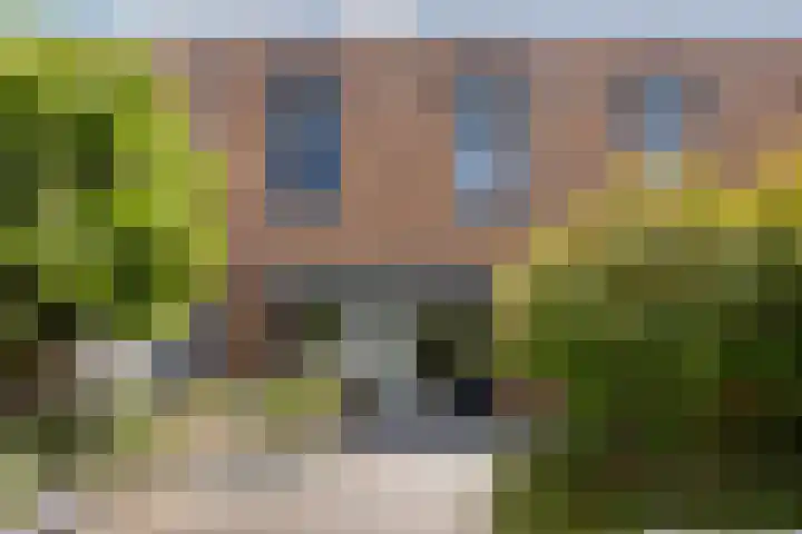 Pijlstaart 4 Bergen op Zoom thumbnail 38