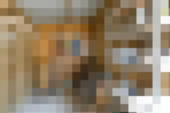 Pijlstaart 4 Bergen op Zoom thumbnail 39