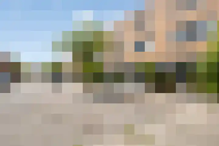 Pijlstaart 4 Bergen op Zoom thumbnail 41