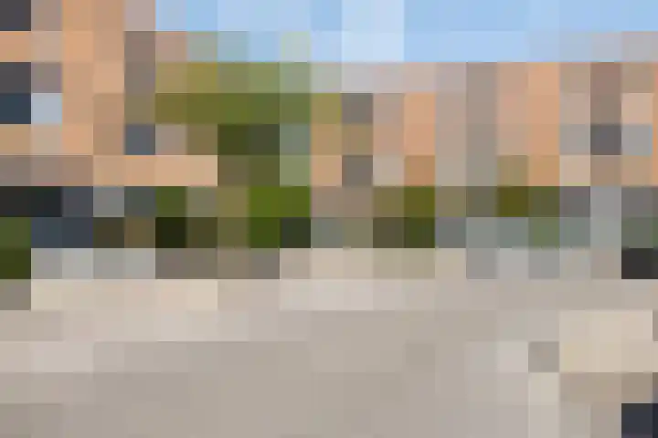 Pijlstaart 4 Bergen op Zoom thumbnail 42