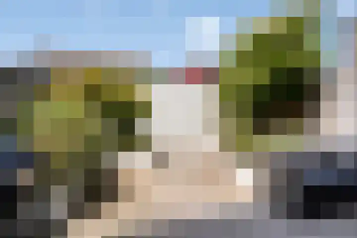 Pijlstaart 4 Bergen op Zoom thumbnail 6