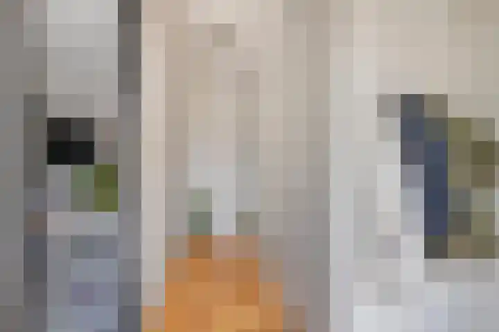 Pijlstaart 4 Bergen op Zoom thumbnail 8