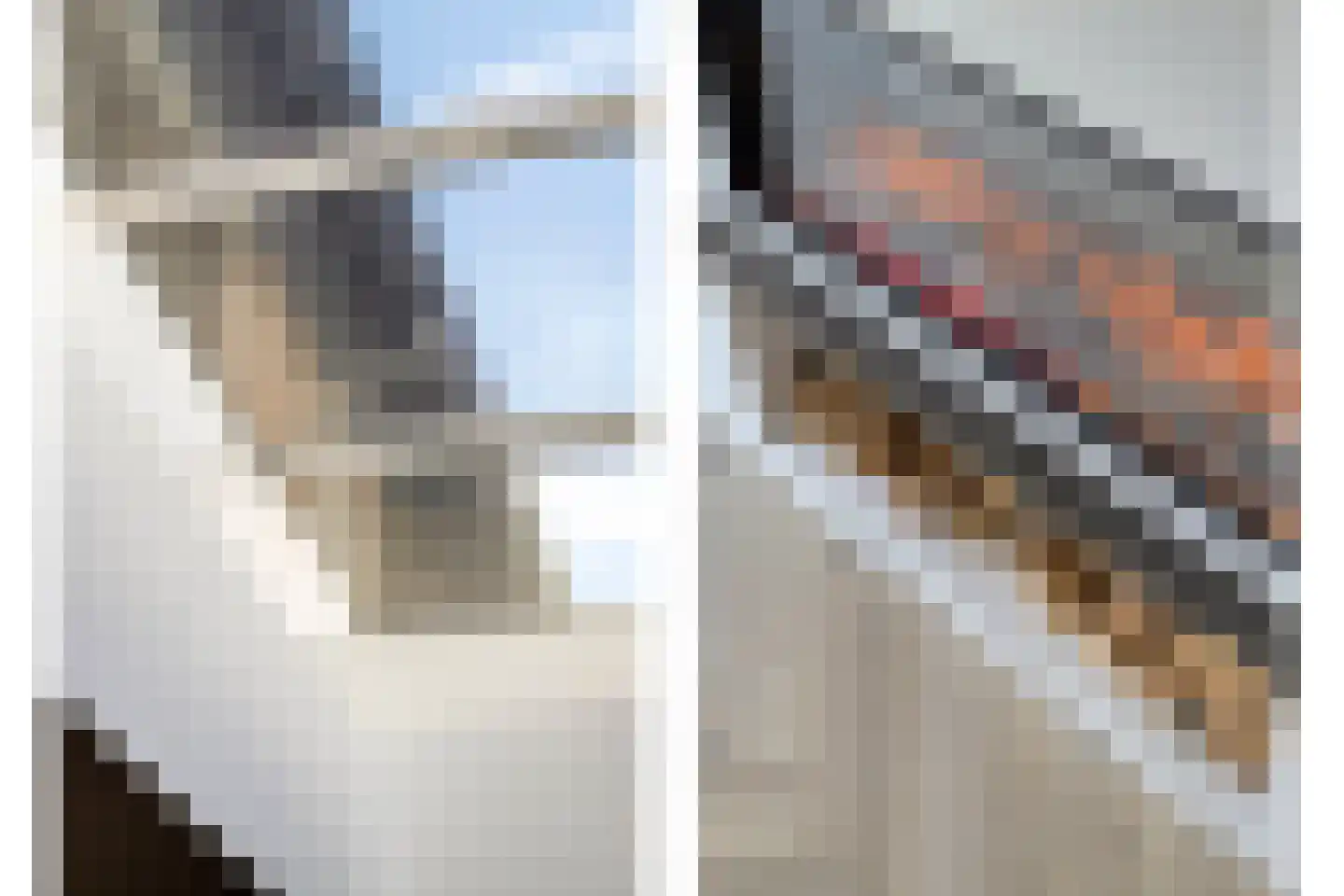 Pijlstaart 4 Pijnacker thumbnail 14