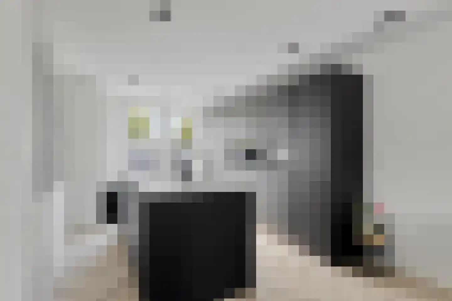 Pijlstaart 4 Pijnacker thumbnail 16