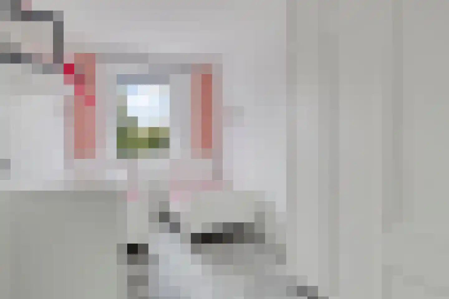 Pijlstaart 4 Pijnacker thumbnail 29