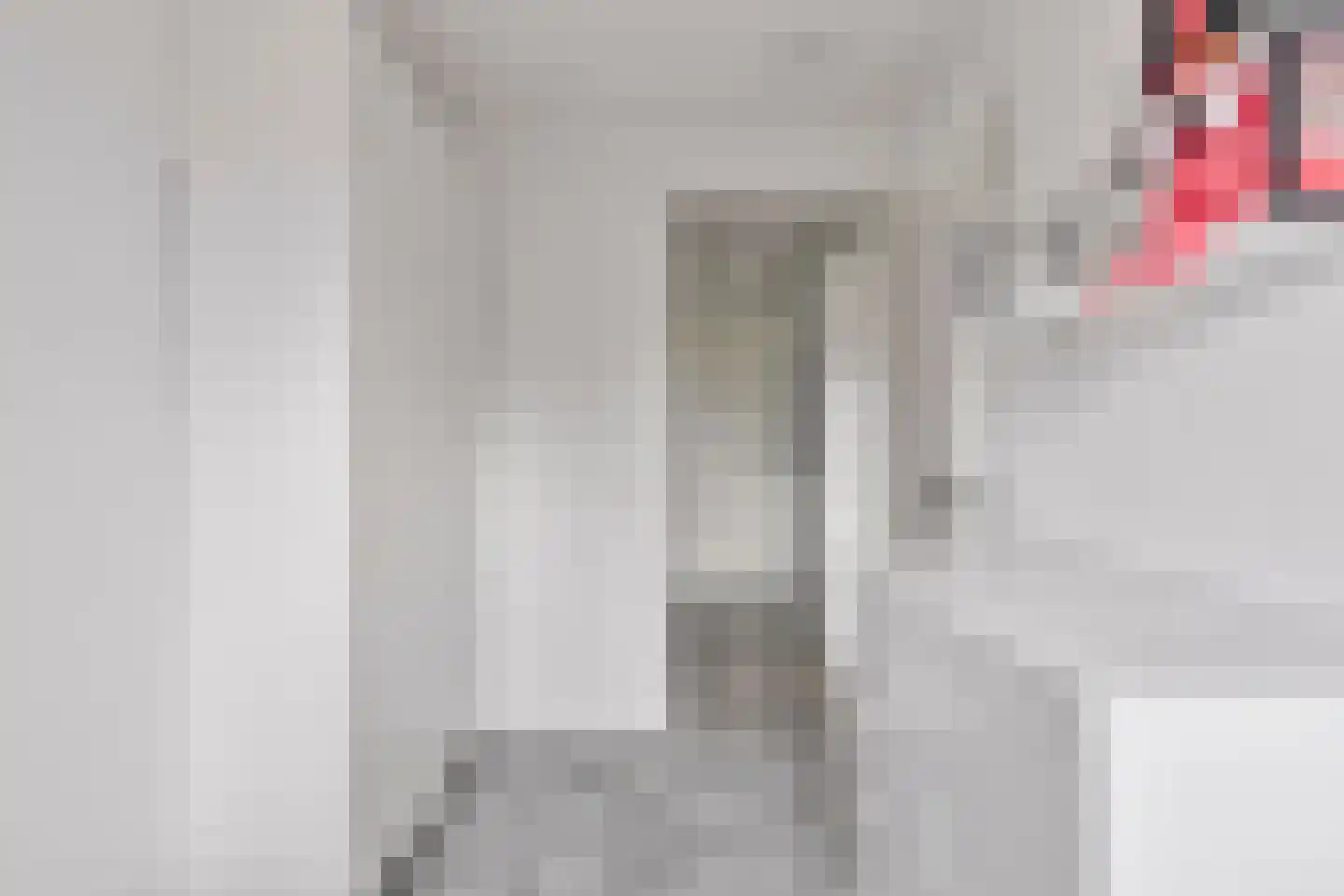 Pijlstaart 4 Pijnacker thumbnail 30