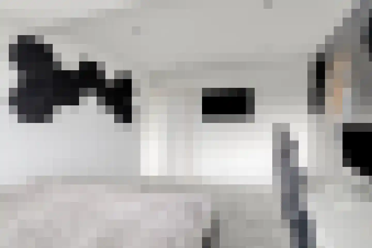 Pijlstaart 4 Pijnacker thumbnail 33