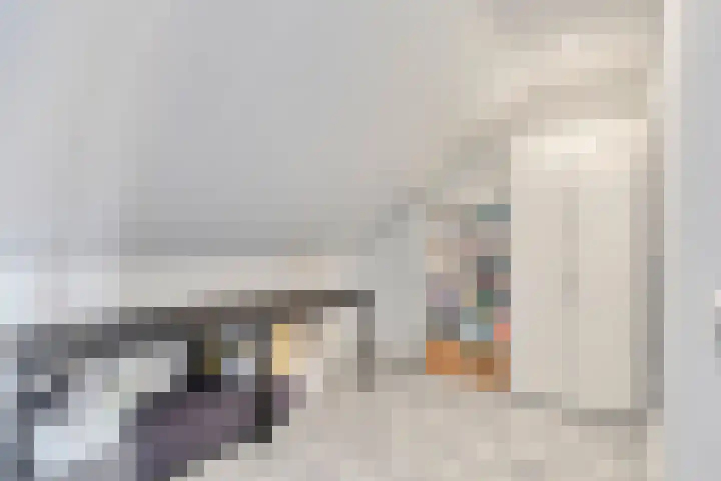 Pijlstaart 4 Pijnacker thumbnail 37