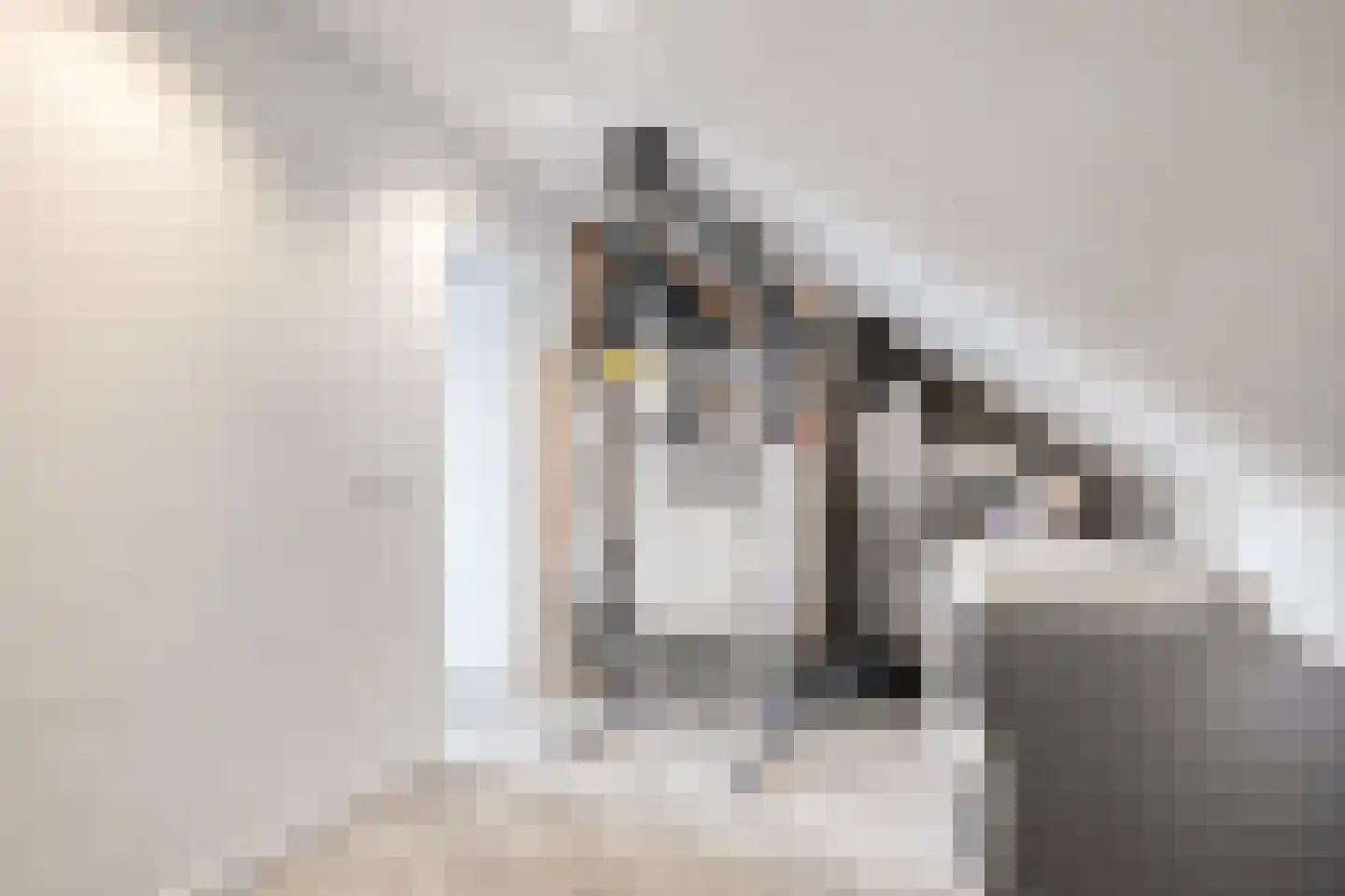 Pijlstaart 4 Pijnacker thumbnail 38