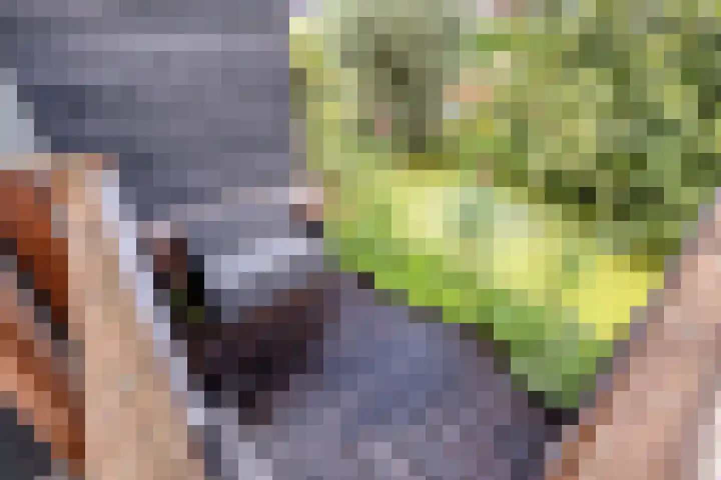 Pijlstaart 4 Pijnacker thumbnail 43