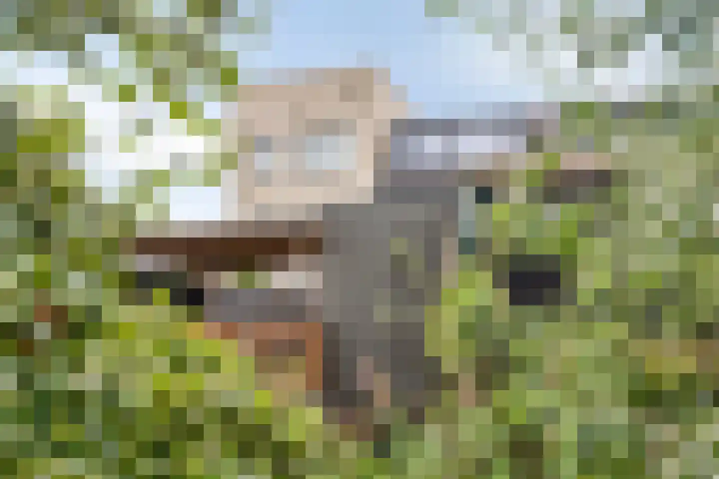 Pijlstaart 4 Pijnacker thumbnail 48