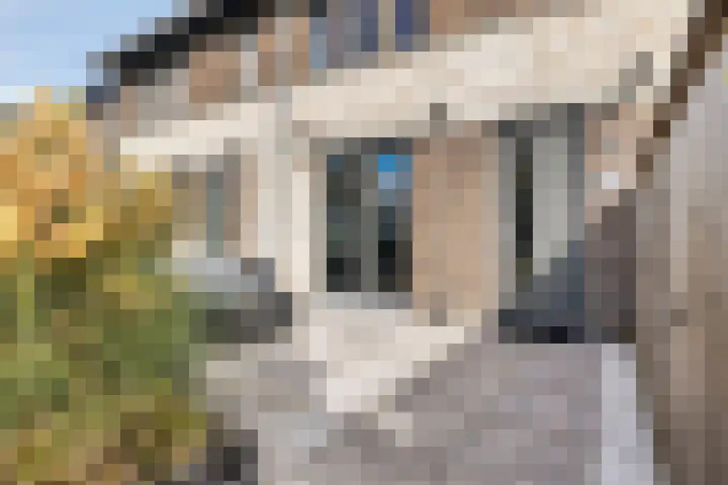 Pijlstaart 4 Pijnacker thumbnail 8