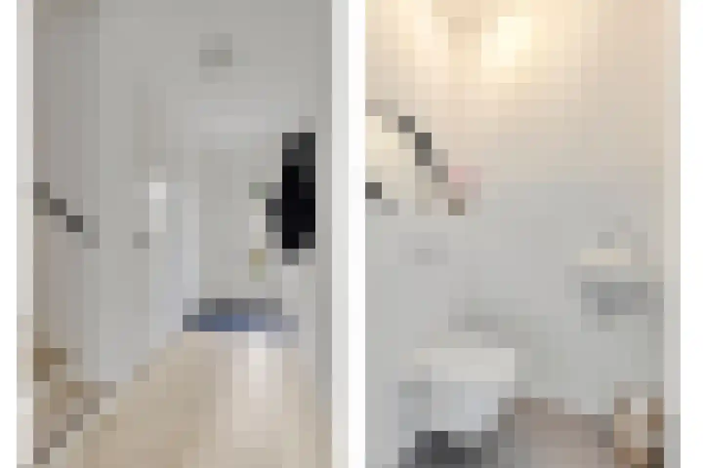Pijlstaart 4 Pijnacker thumbnail 9