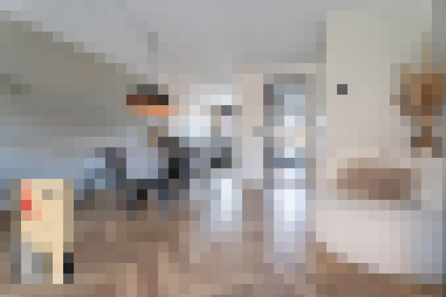 Pijlstaart 42 Hellevoetsluis thumbnail 11