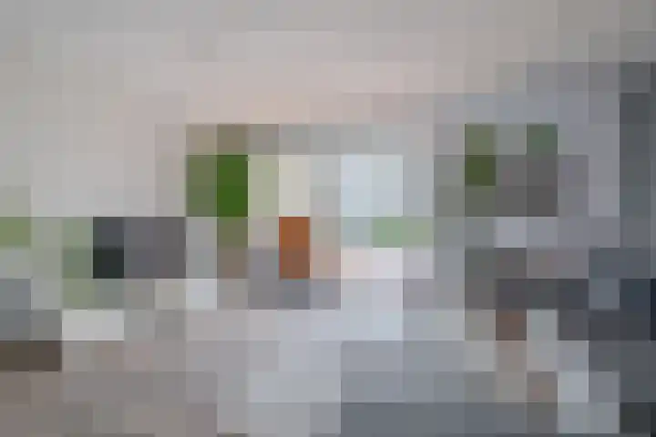 Pijlstaart 44 Hellevoetsluis thumbnail 11